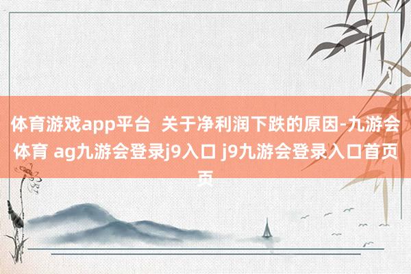 體育游戲app平臺(tái)  關(guān)于凈利潤(rùn)下跌的原因-九游會(huì)體育 ag九游會(huì)登錄j9入口 j9九游會(huì)登錄入口首頁(yè)