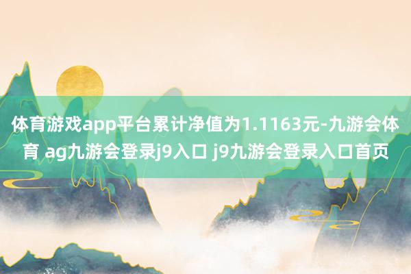 體育游戲app平臺累計凈值為1.1163元-九游會體育 ag九游會登錄j9入口 j9九游會登錄入口首頁