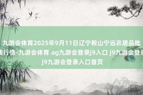 九游會體育2025年9月11日遼寧鞍山寧遠(yuǎn)農(nóng)居品批發(fā)市集價錢行情-九游會體育 ag九游會登錄j9入口 j9九游會登錄入口首頁