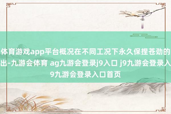 體育游戲app平臺(tái)概況在不同工況下永久保捏蒼勁的能源輸出-九游會(huì)體育 ag九游會(huì)登錄j9入口 j9九游會(huì)登錄入口首頁